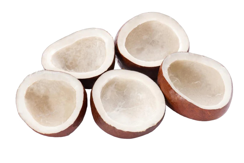 COCONUT SABAT 100G